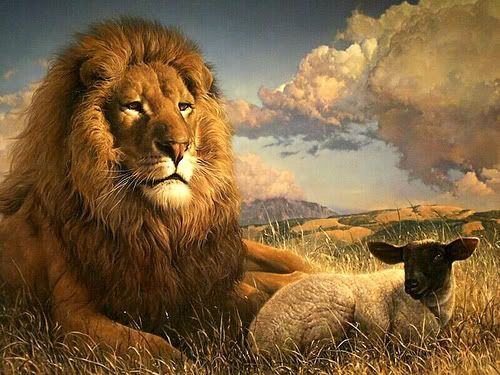 Lion of Judah   Lion of Judah