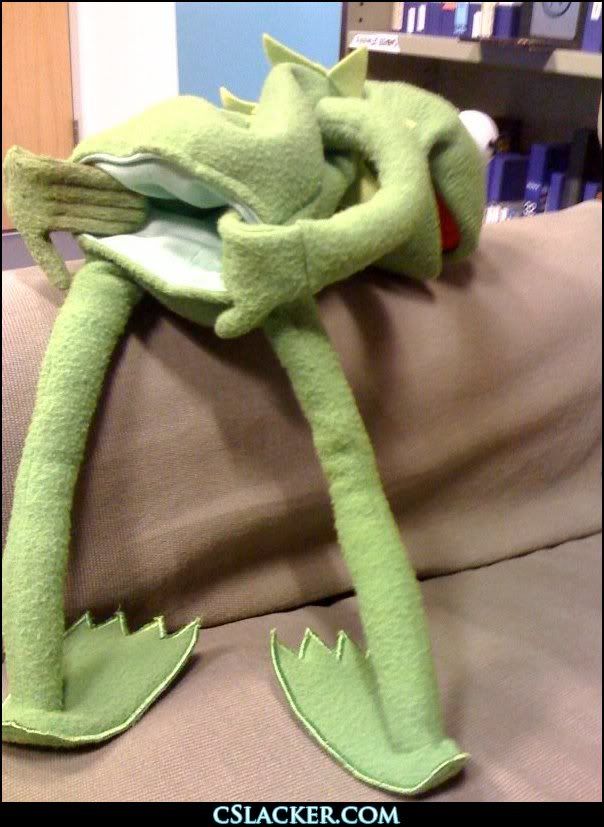 kermit_nooo.jpg