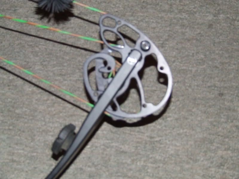 Elite Archery Z28 Archery Talk Forum
