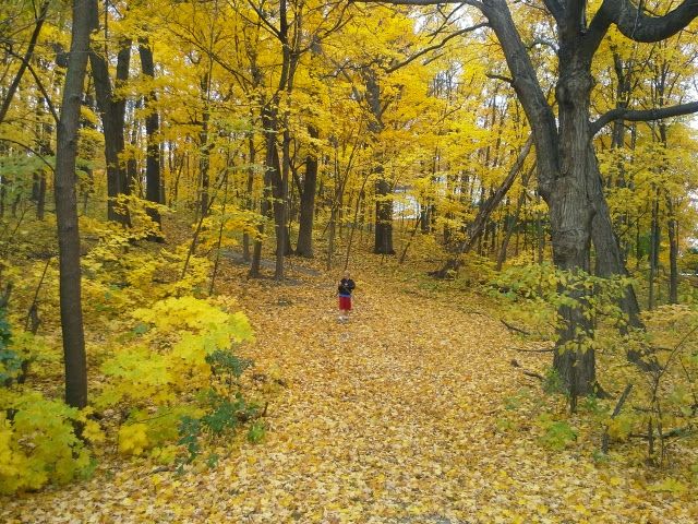 photo 20141018_105428.jpg