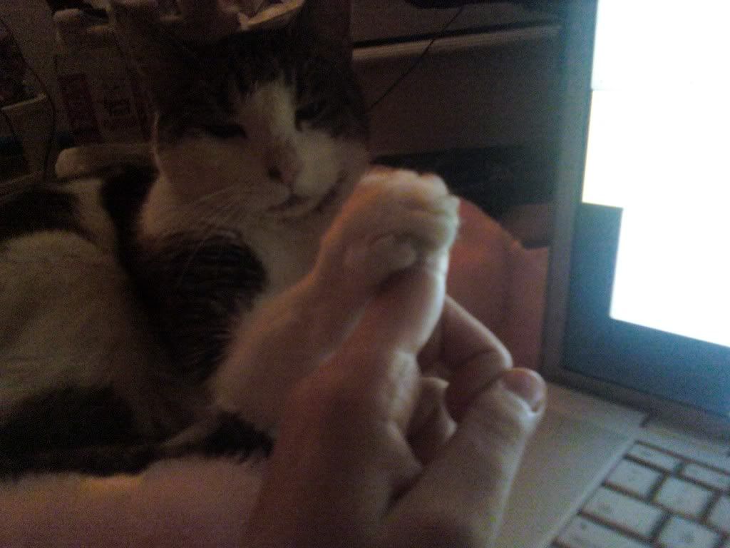 I Enjoy Being a Girl