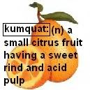 Kumquat!!! Pictures, Images and Photos