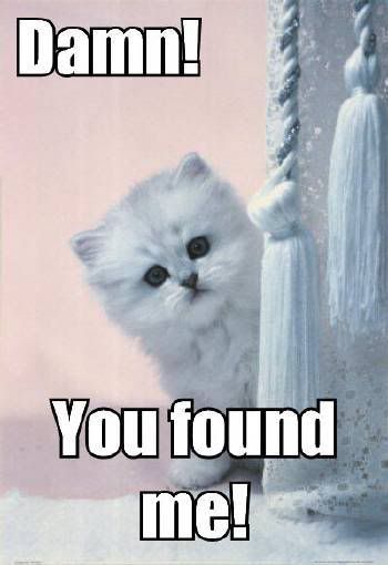 damn-you-found-me.jpg
