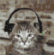 photo animated_cat_headphones.gif