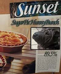 SunSet SugarPie HunnyBunch