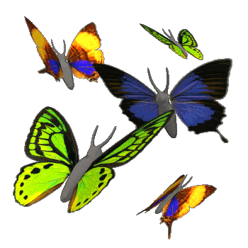 butterflies.gif butterflies image by wicccanwitch