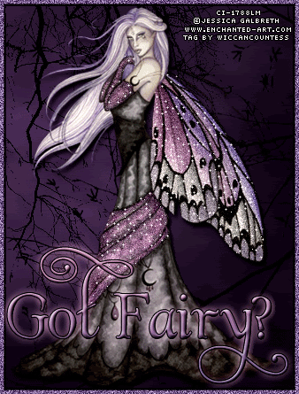 fairy.gif fairy image by Oregon1946