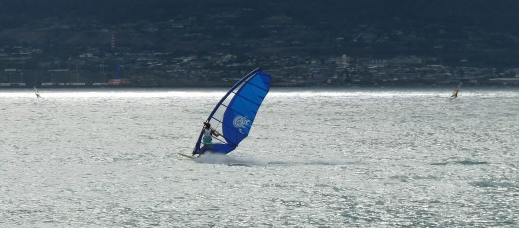 P1170818-2-X3.jpg