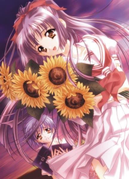 3.jpg anime friends with sunflowers image by trying2think