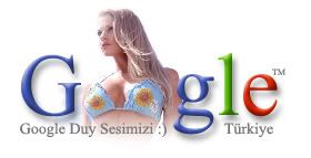 google1.jpg