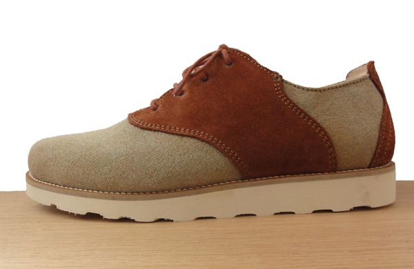 Pointer Charlie Fall 11
