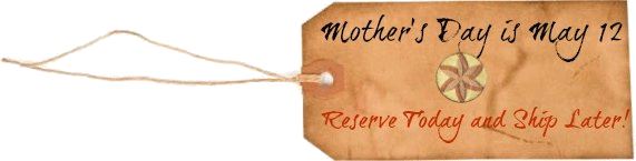Mother's Day Lobster