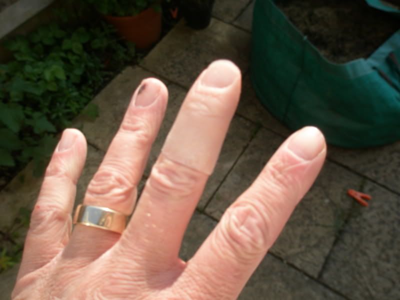 finger006.jpg