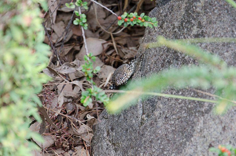 20150221-_DSC3030.jpg