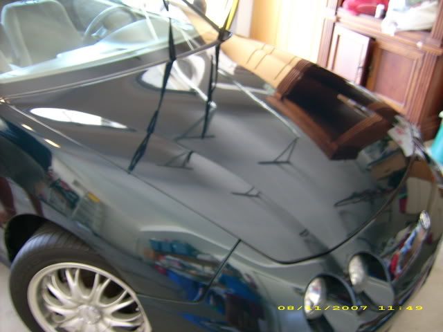 DSCI0898.jpg