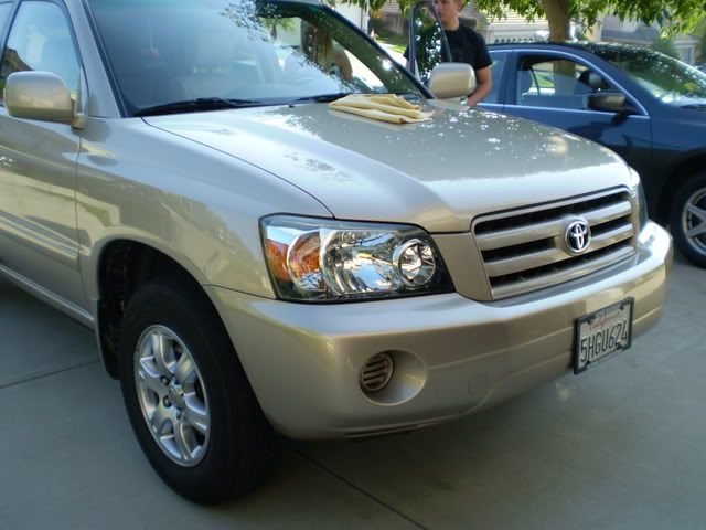 P8190191.jpg