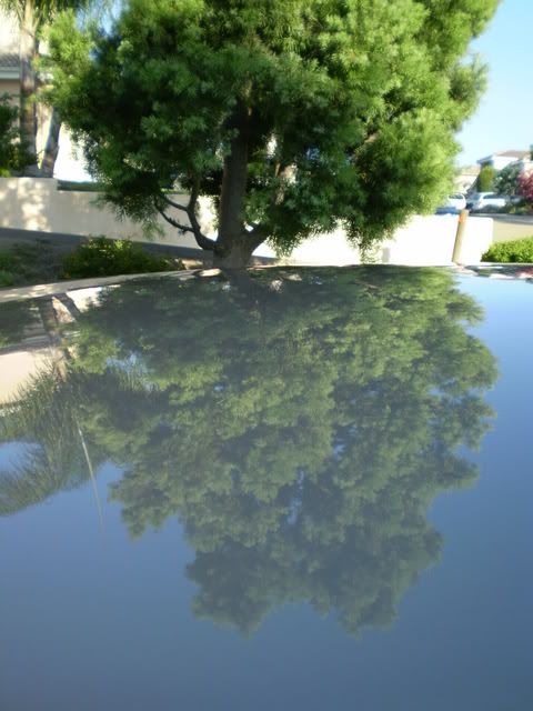 P8190199.jpg
