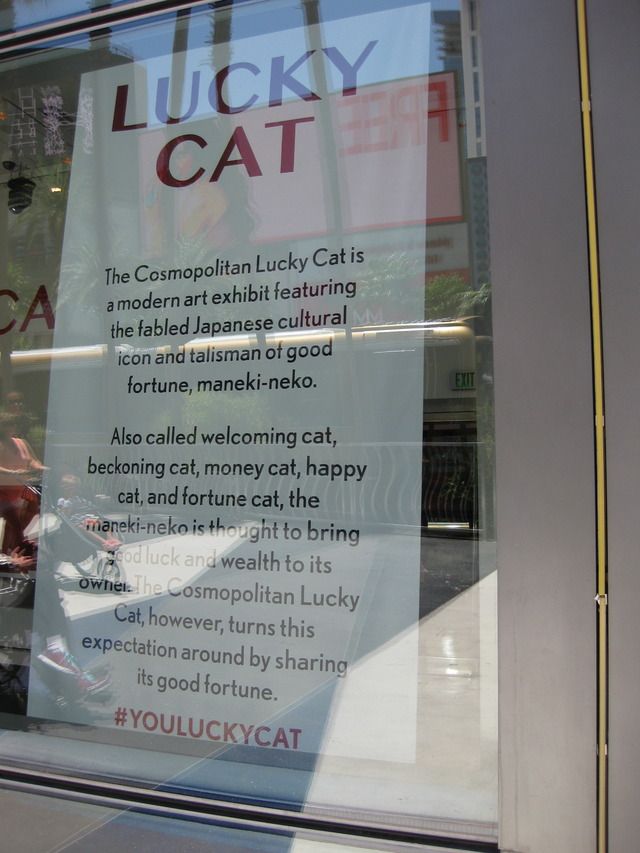 lucky cat cosmopolitan