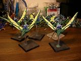 Terradons re-pinned