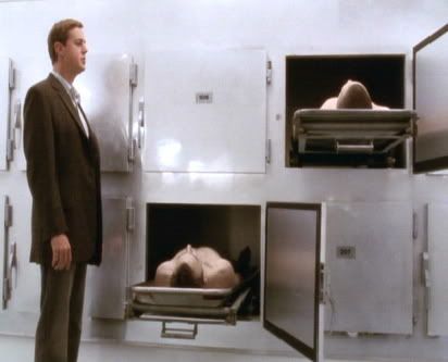 Sean Murray - Mibba.com