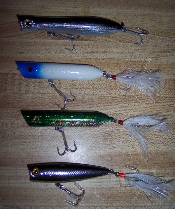 Rock fishing with lures?