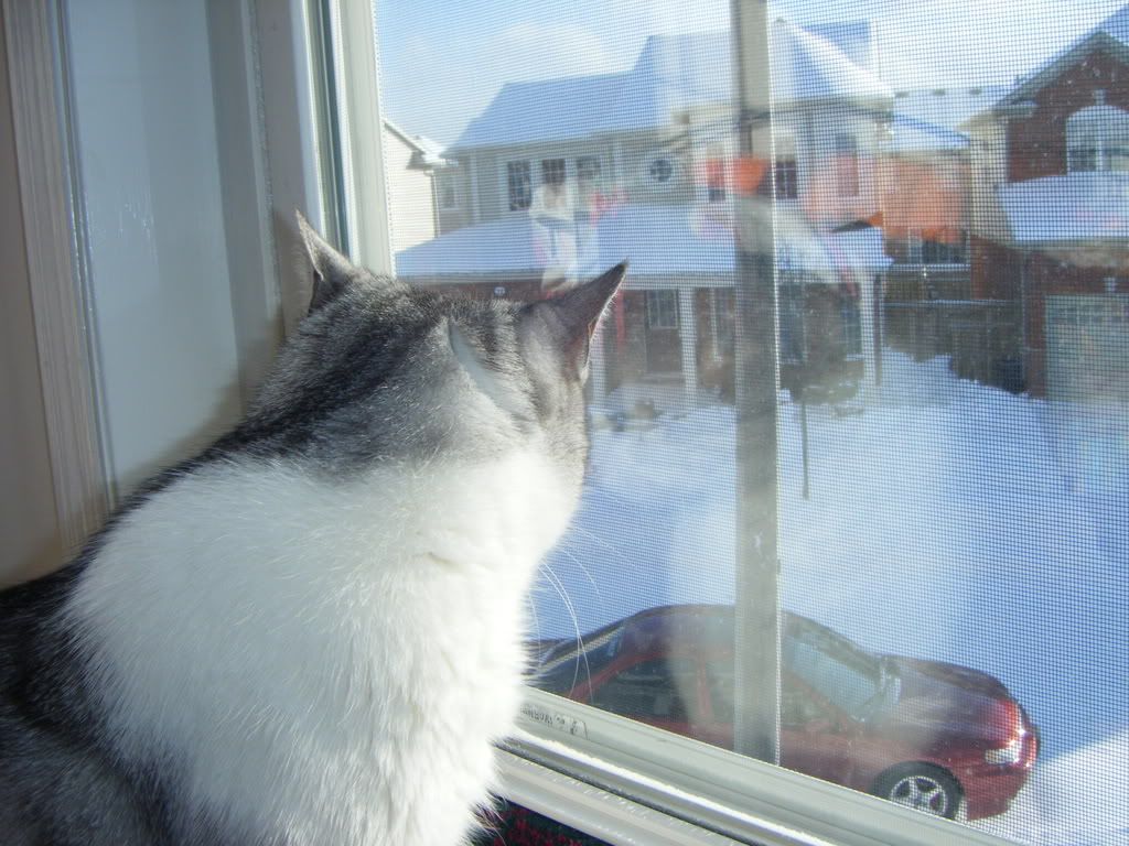 DSCF0143.jpg