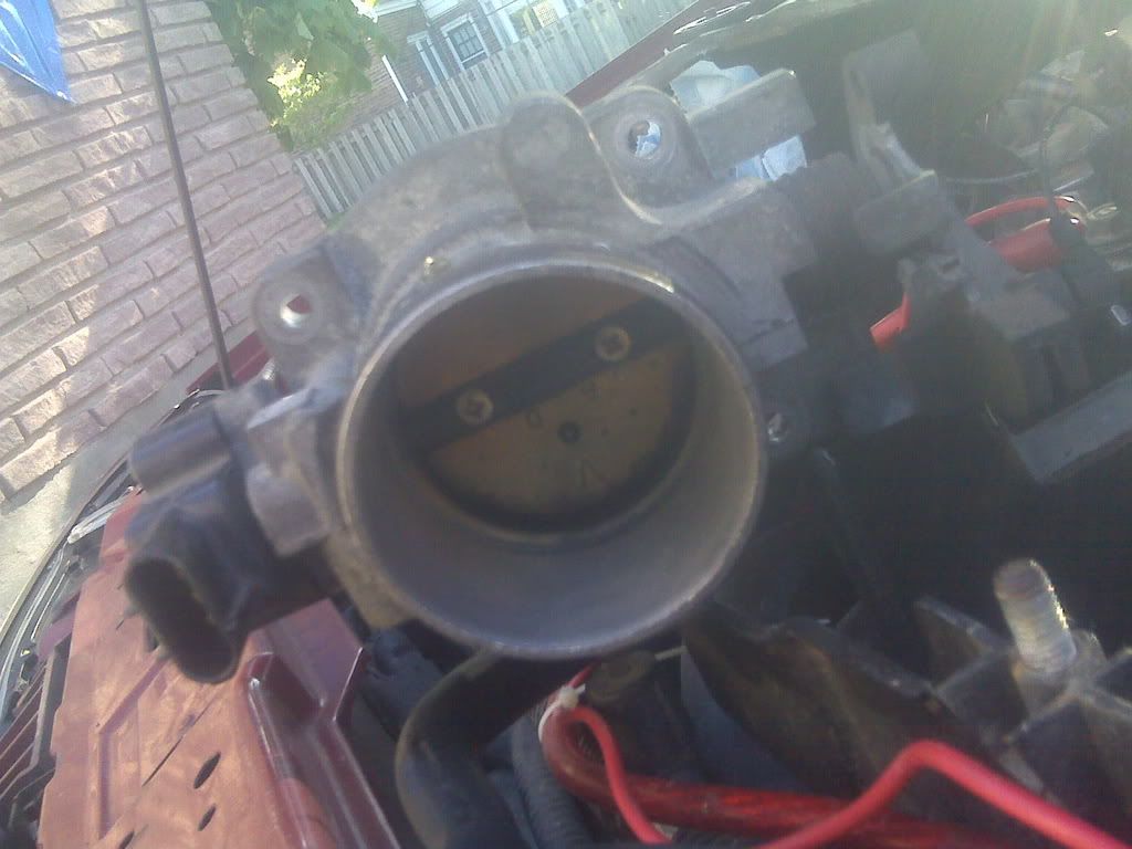 IMG00009.jpg