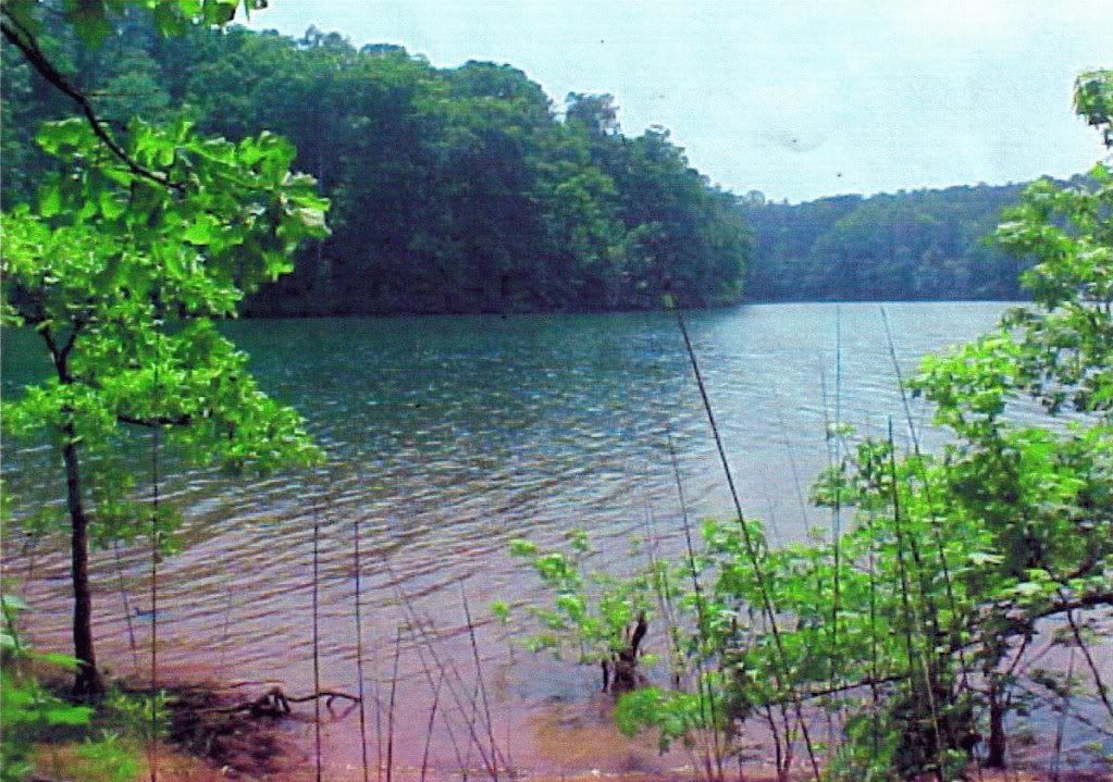 River in Area