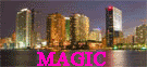 Magic Miami