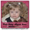 Help bring Alyssa home