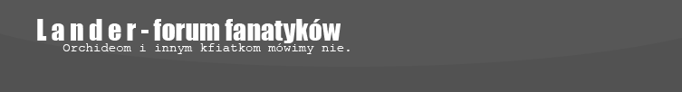 Forum Forum oglnotematyczne Strona Gwna