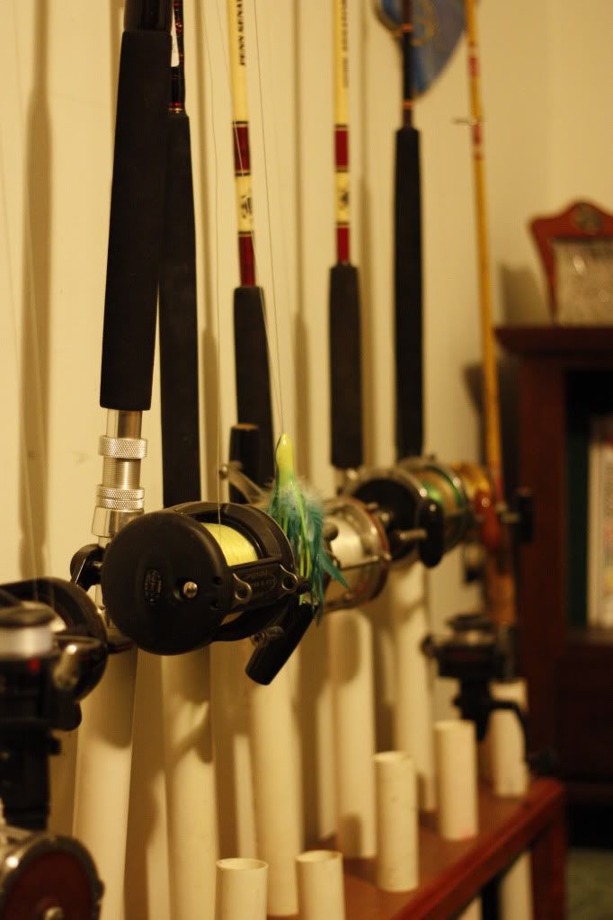 IMAGE: http://i168.photobucket.com/albums/u176/itsmeagain5789/Canon%20XSI/_MG_8201.jpg