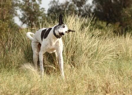 prezoomie.jpg