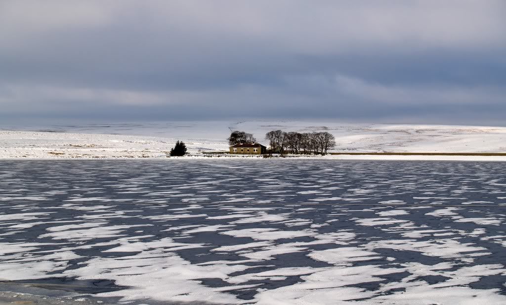 2009JantoMay009.jpg