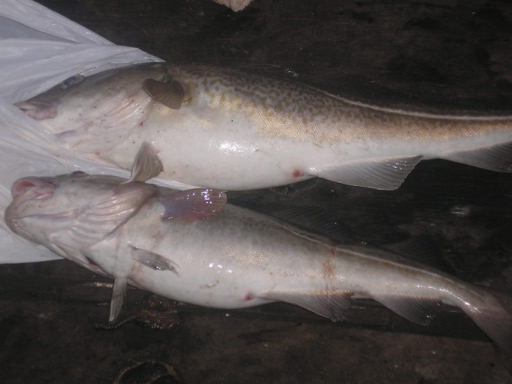 fishing004.jpg