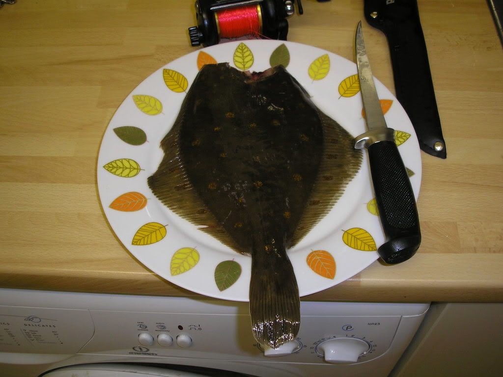 pics2007032.jpg