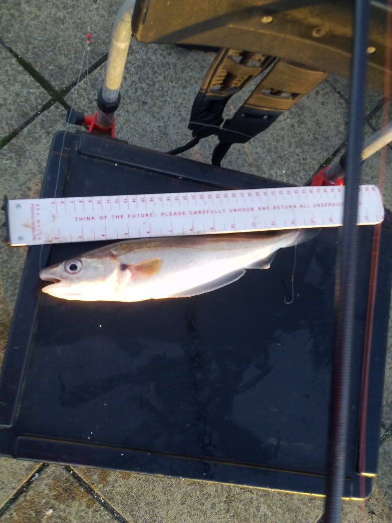 micksfishingpics003.jpg