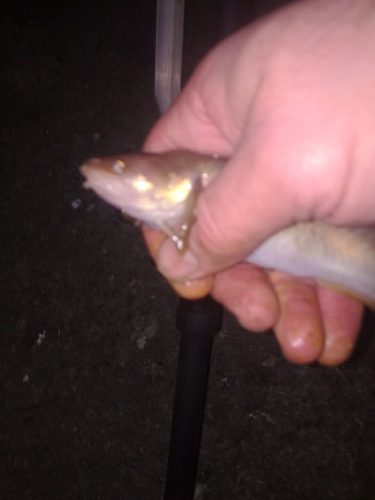 micksfishingpics118.jpg