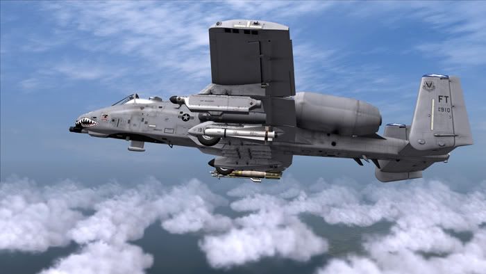DCS_A-10C_Warthog2.jpg