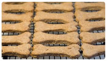 Maintaining a natural diet for your pet can help you achieve a different kind of contentment