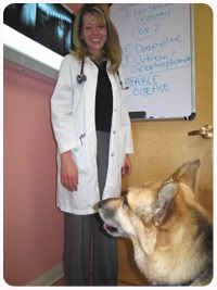 Take note that most dogs who reach the age of 10 and above are prone to this disease. Take note that most dogs who reach the age of 10 and above are prone to this disease.