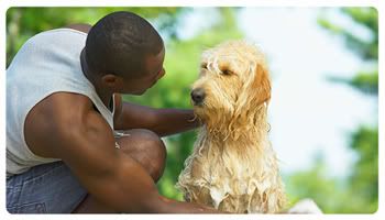 Environmental factors are affected by your pet’s hygiene and diet