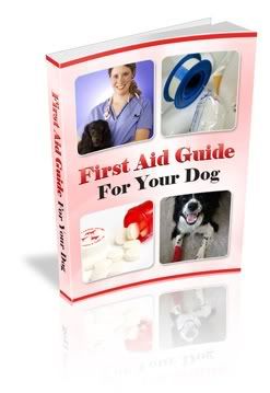First aid