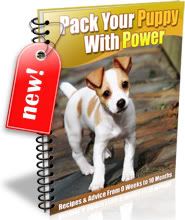 Pack Your Puppy With Power