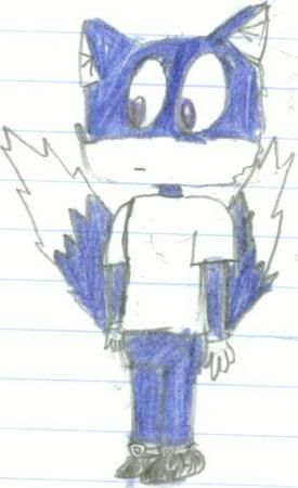 [Image: fcc0b213.jpg]