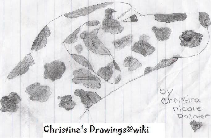 <img:http://i168.photobucket.com/albums/u183/chrissy101_07/drawings/untitled.jpg>