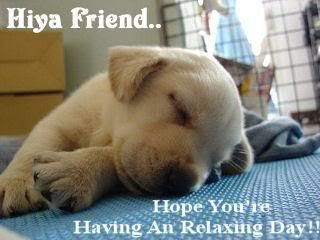 hifrienddoggy.jpg sleeping doggy image by julez609