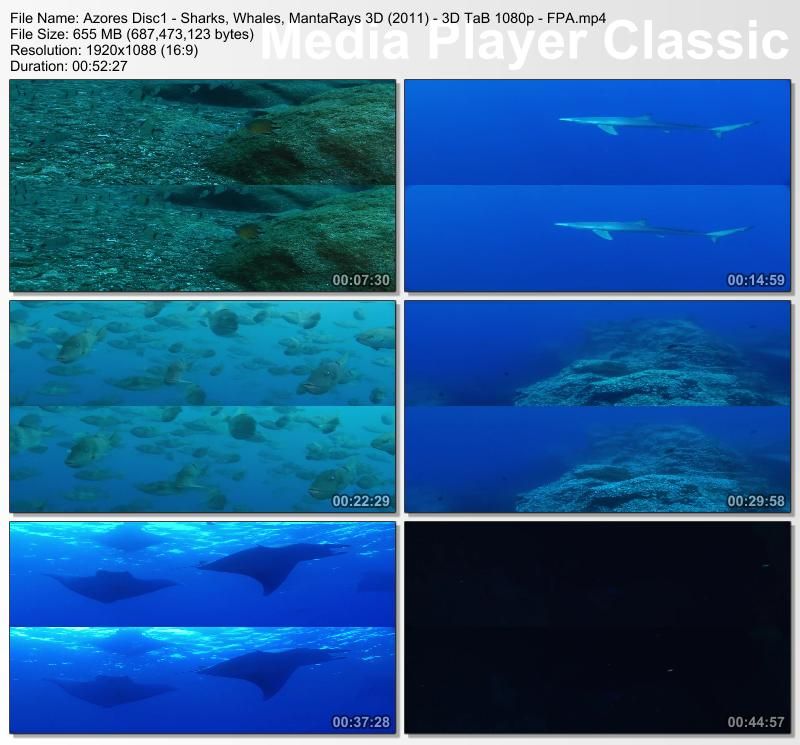 AzoresDisc1-SharksWhalesMantaRays3D2011-3DTaB1080p-FPAmp4_thumbs_20121223_223409_zps65453f8f.jpg