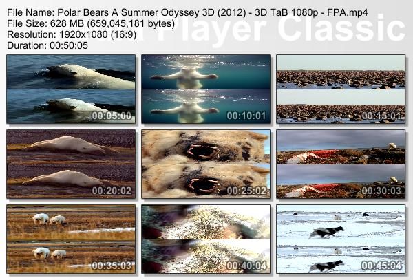 PolarBearsASummerOdyssey3D2012-3DTaB1080p-FPAmp4_thumbs_20121208_214814.jpg