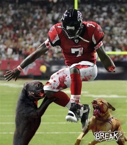 Michael Vick the dick Pictures, Images and Photos
